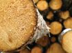 A decision signed on 29th of July 2014 authorize the use of wood waste as fuel
