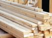 Panama se enfrenta al trafico ilegal de madera