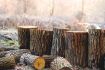 Finnish Sawmills Warn of Future Wood Shortage as Timber Supply Pressures Rise