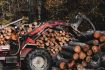 European hardwood sawmills push for more local processing of logs