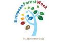 FOREST EUROPE in Krze